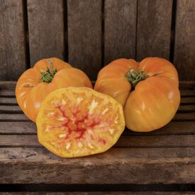 Striped German, Tomato Seeds